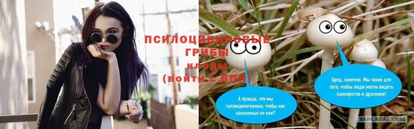 СК Балахна