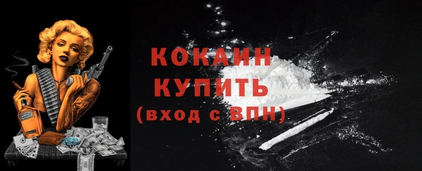 трава Белокуриха