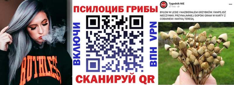 Псилоцибиновые грибы Psilocybine cubensis  где купить наркотик  Сегежа 